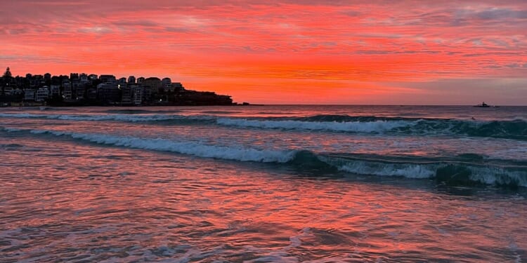 'I live in Bondi - yesterday evil arrived' | World | News