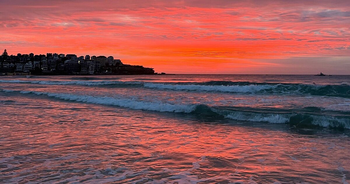 'I live in Bondi - yesterday evil arrived' | World | News