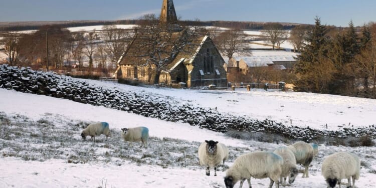 Incredible pictures show UK’s last ‘proper’ White Christmas | UK | News