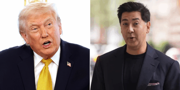 Keir Starmer ally sues Donald Trump after being threatened with deportation for 'pressuring tech firms to censor views'