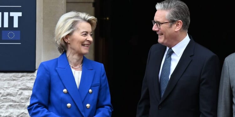 Labour hands EU £570m to fund middle class students’ placement years | Politics | News