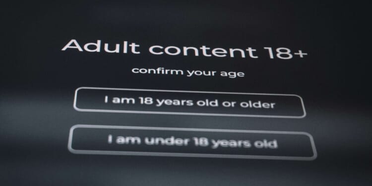 Lawmakers to consider 19 bills for childproofing the internet