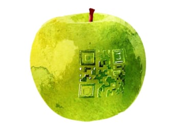 MAHA movement mandates labels on seed oils and other food ingredients