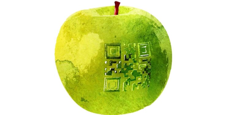 MAHA movement mandates labels on seed oils and other food ingredients