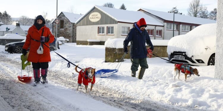 Met Office gives verdict on white Christmas in new UK weather forecast | Weather | News