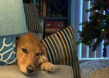 Morning Minute: Post-Christmas Pondering - Is It a Lump of Coal? Or a Diamond in the Rough? – RedState