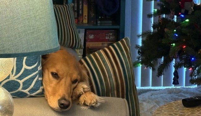 Morning Minute: Post-Christmas Pondering - Is It a Lump of Coal? Or a Diamond in the Rough? – RedState