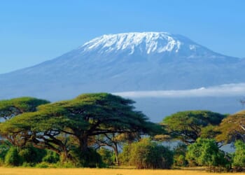 Mount Kilimanjaro helicopter crash kills 5 including tourists | World | News