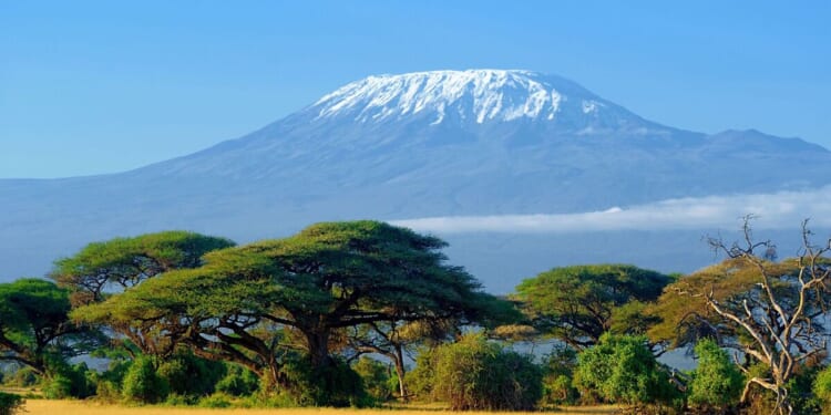 Mount Kilimanjaro helicopter crash kills 5 including tourists | World | News