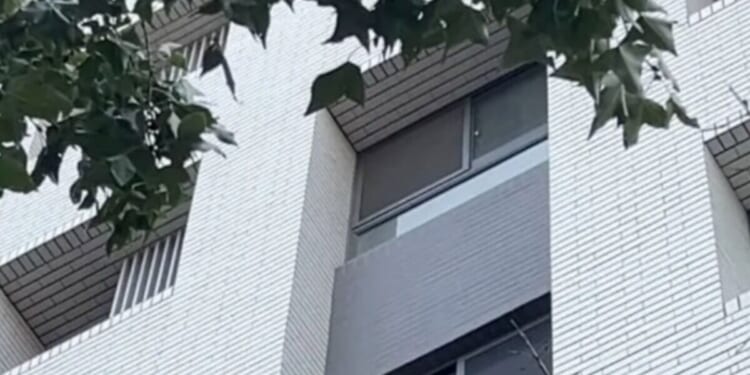 Mum 'throws newborn baby boy to his death' from 11th floor window | World | News