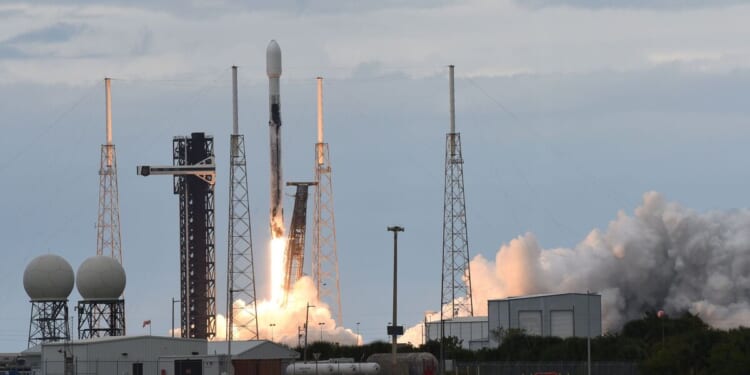 Musk eyes massive SpaceX float as rocket firm could go public in 2026 | US | News