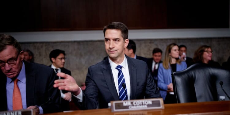 National Guard Under Attack From ‘Deranged Individuals’ In U.S. Cities, Senator Says