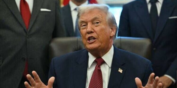 One migrant group made Minnesota a 'hellhole' warns Trump | US | News