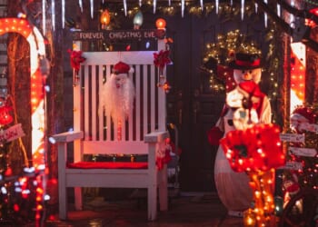 Paedo caught red-handed helping 'as an elf' in school Santa's grotto | UK | News