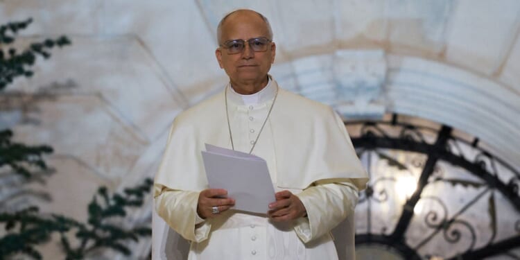 Palestinian State Seen as ‘Only Solution,’ According to Pope Leo