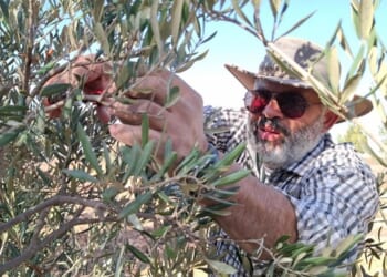 Palestinians who refuse to be victims