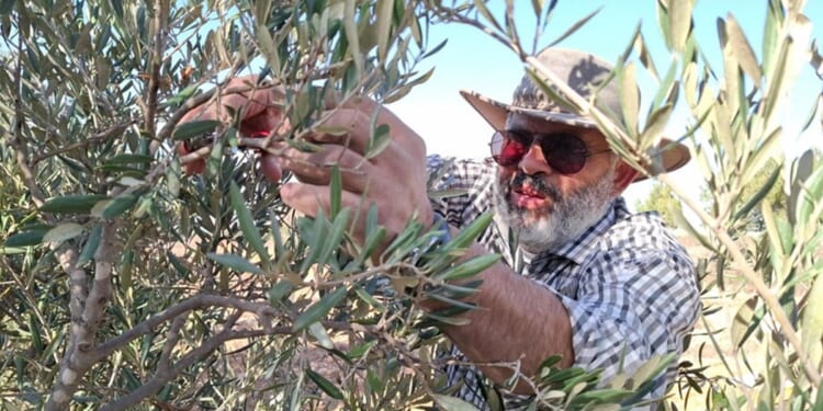 Palestinians who refuse to be victims