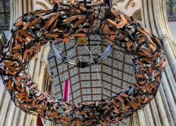 Photo stories of the week