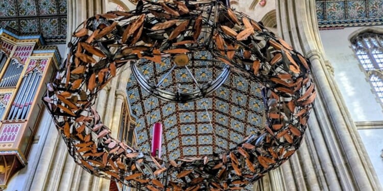 Photo stories of the week