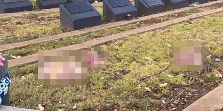 Pig heads thrown into Sydney Muslim cemetery in disturbing act after Bondi Beach massacre | World | News