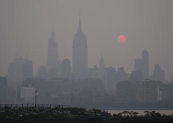 Queens Thugs Torch Car, Now Face Assault Charges – RedState