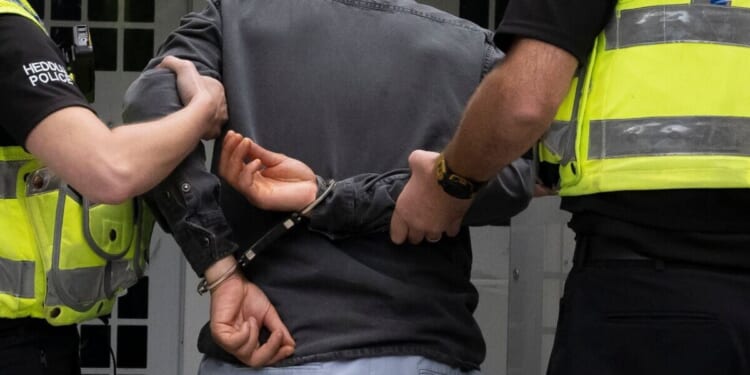 Reform UK exposes scale of serious crimes committed by foreigners | Politics | News