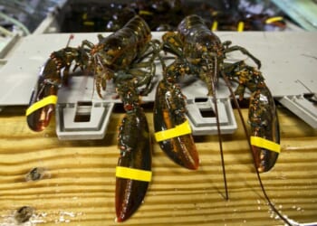 Thieves Claw $400K Shipment From Costco's Clutches – RedState