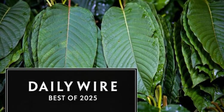 This Drug Is Sold in Your Gas Station. It May Trigger the ‘Fourth Wave’ Of The Opioid Crisis.