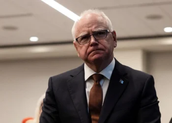 This is the Heart of the Somali Fraud Issue