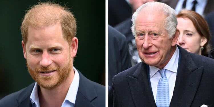 True story behind Prince Harry's relationship with King Charles as update issued | Royal | News