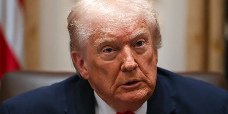 Trump Blasts Somali Immigrants