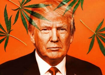 Trump orders the 'expeditious' reclassification of marijuana