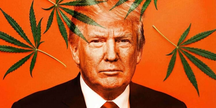 Trump orders the 'expeditious' reclassification of marijuana