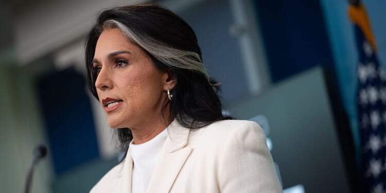 Tulsi Gabbard Warns That Islamist Ideology Is Freedom’s Greatest Threat