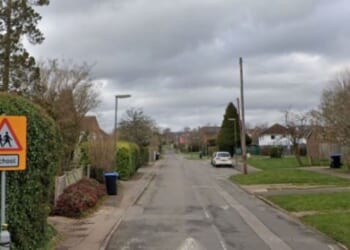 Two teens killed and another fighting for their life after Tesla crashes into tree | UK | News