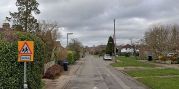 Two teens killed and another fighting for their life after Tesla crashes into tree | UK | News