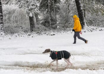 UK snow maps show huge barrage as far south as Bristol | Weather | News