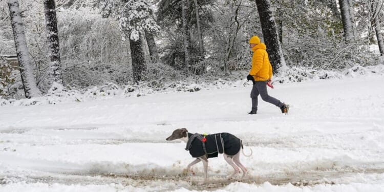 UK snow maps show huge barrage as far south as Bristol | Weather | News