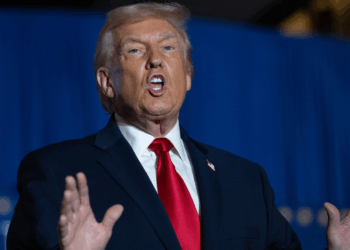 US ‘pushing to convince four European nations to follow Britain’s lead and walk out of EU’