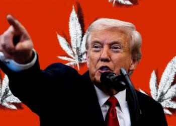 What Trump’s marijuana rescheduling plan would—and wouldn’t—do