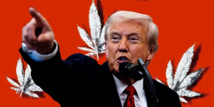 What Trump’s marijuana rescheduling plan would—and wouldn’t—do