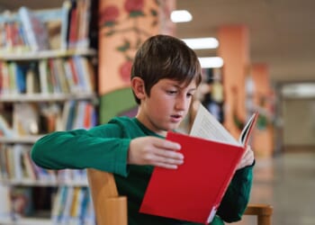 Why Johnny Can't Read