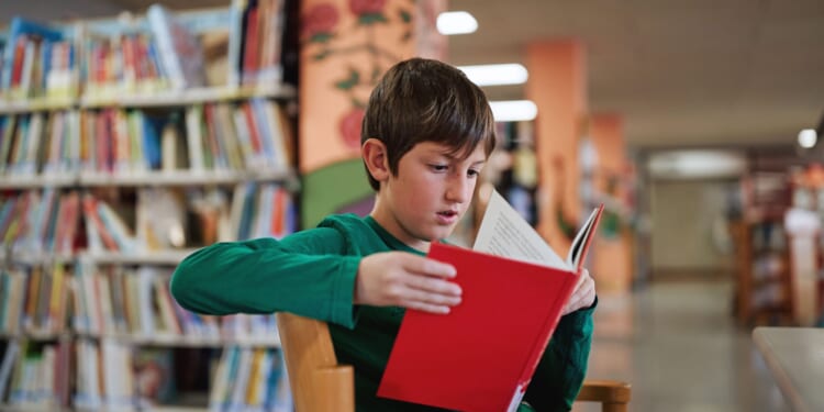 Why Johnny Can't Read