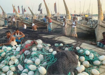 Wonders of the oceans are at risk, says Bishop of Norwich