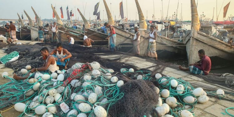 Wonders of the oceans are at risk, says Bishop of Norwich