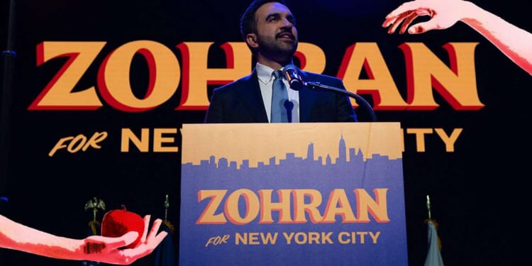 Zohran Mamdani's radical transition team