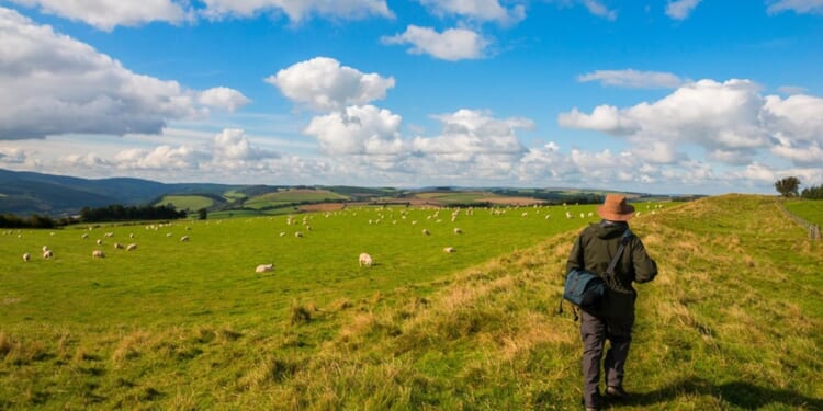 the art of walking through Advent