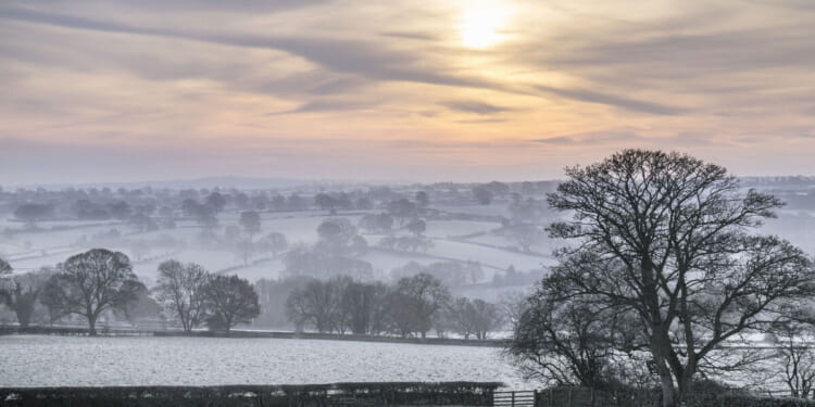 ‘Rise in deaths’ warning as cold health alerts issued with temperatures set to plummet | Weather | News