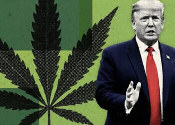 ‘We Have People Begging For Me To Do This’