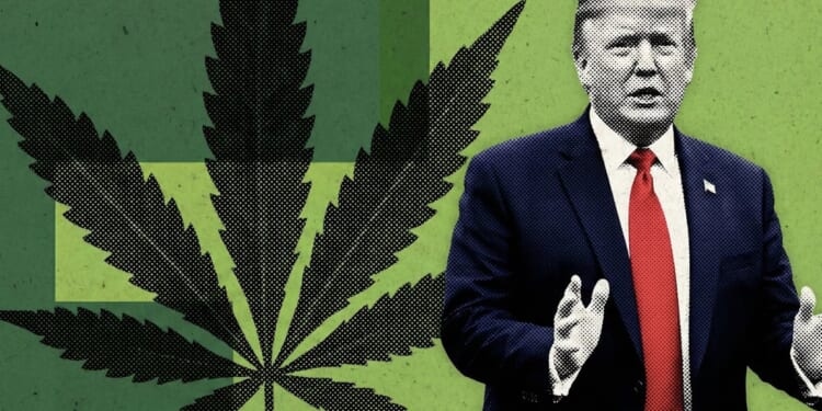 ‘We Have People Begging For Me To Do This’